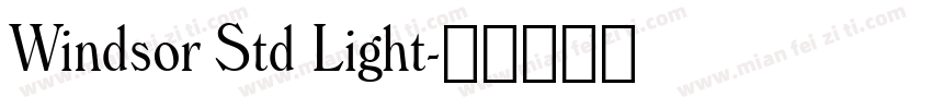 Windsor Std Light字体转换